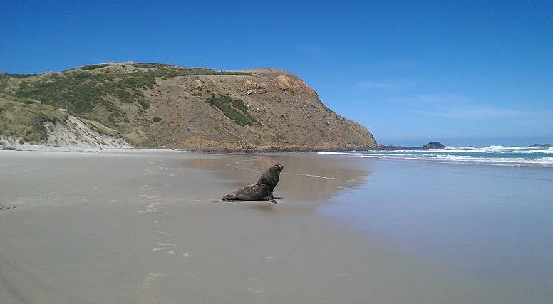 Sandfly Bay, New Zealand, New Zealand